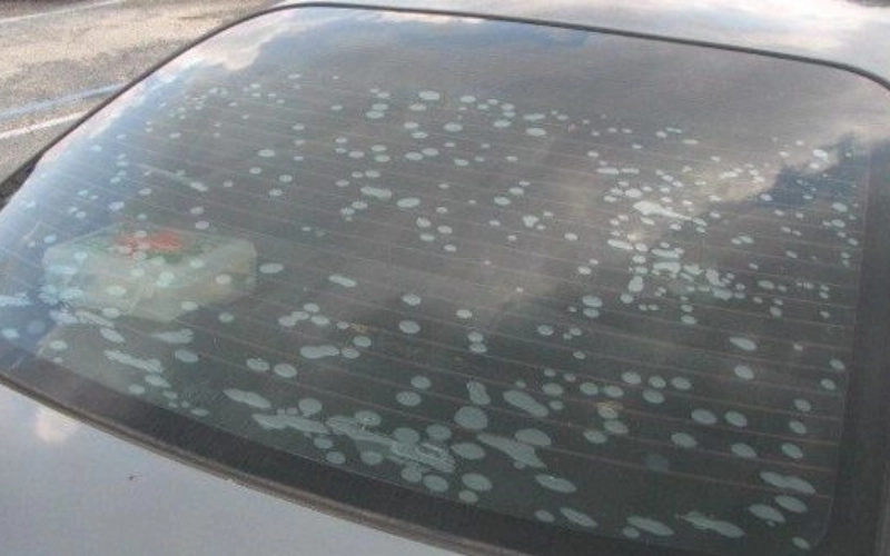 Thực trạng dán phim cách nhiệt Limo Green giá rẻ hiện nay