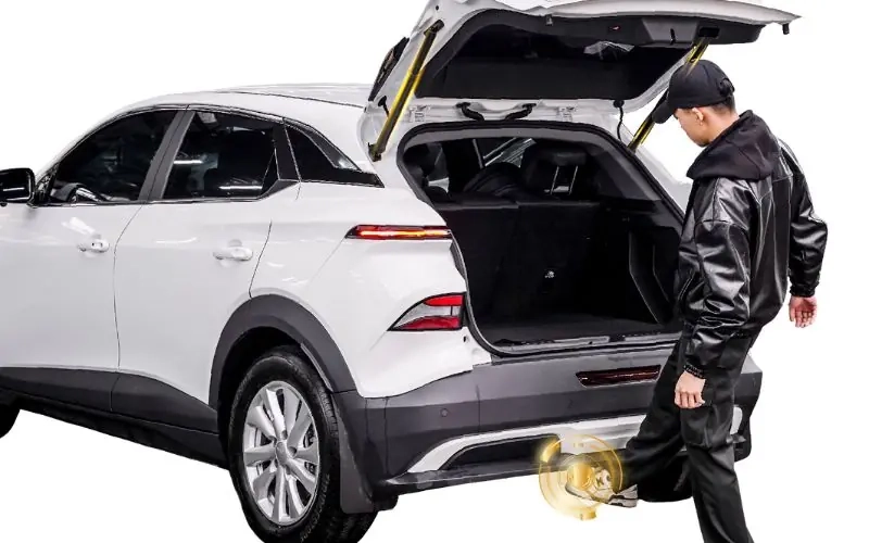 Nhóm phụ kiện Vinfast Limo Green nâng cấp cá nhân hóa theo nhu cầu