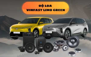 Độ loa Limo Green giúp cải thiện chất lượng giải trí mang đến trải nghiệm âm thanh sống động, chân thực và đẳng cấp hơn