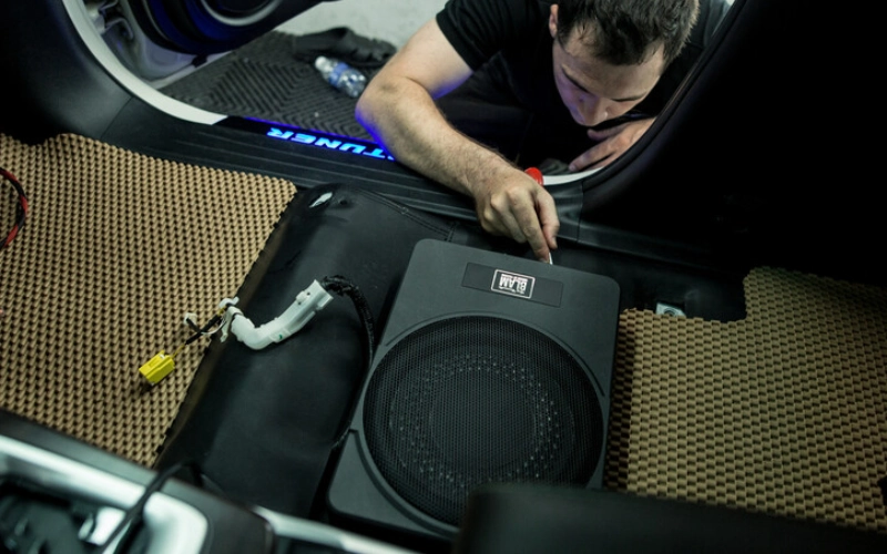 Các loại loa sub điện phổ biến cho Limo Green