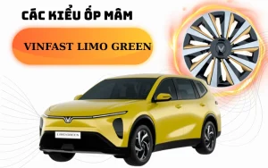 Việc lắp ốp mâm cho VinFast Limo Green mang lại giá trị thẩm mỹ giúp bảo vệ bộ phận mâm xe hiệu quả trong quá trình sử dụng