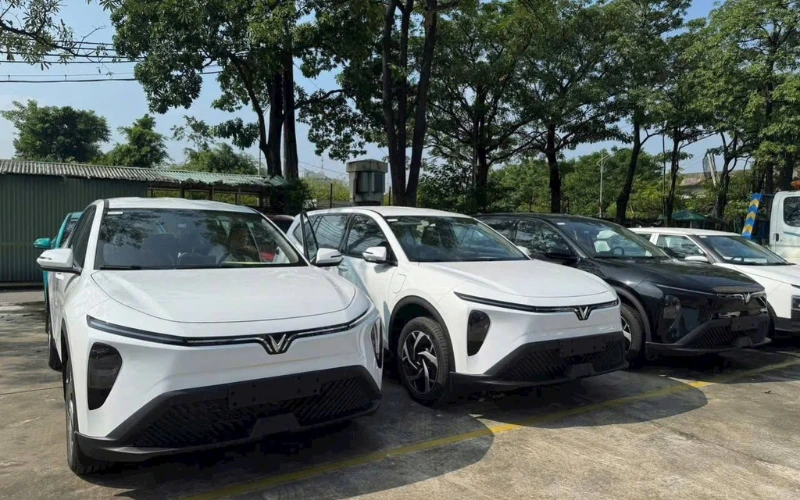 Tổng hợp giá lăn bánh xe VinFast Limo Green 2025 tại các tỉnh thành trên cả nước