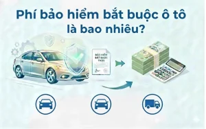 Phạm vi bảo hiểm và các trường hợp loại trừ trong bảo hiểm bắt buộc ô tô