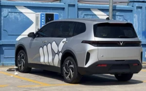 Lưu ý quan trọng khi thay pin Limo Green