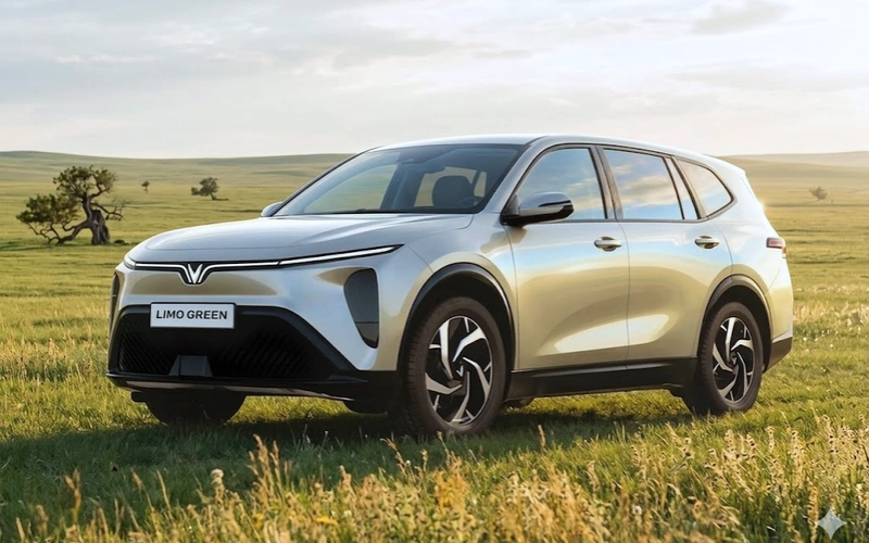 Nguyên nhân Vinfast Limo Green không mở được cửa