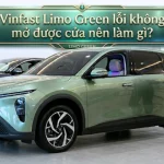 Cách xử lý khi VinFast Limo Green không mở được cửa